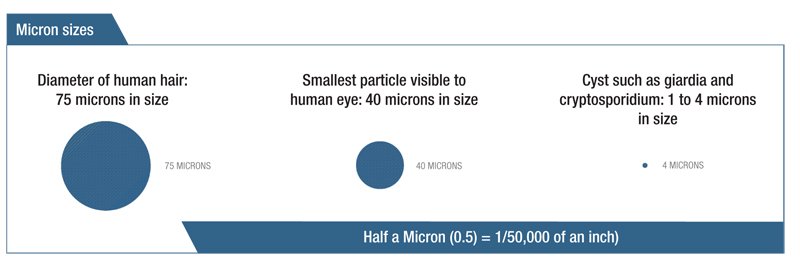 micron_sizes