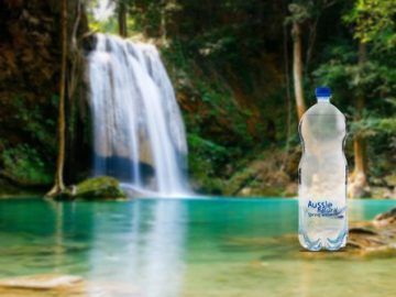 Should You Pick Up a Bottled Water or a Spring Water Bottle?